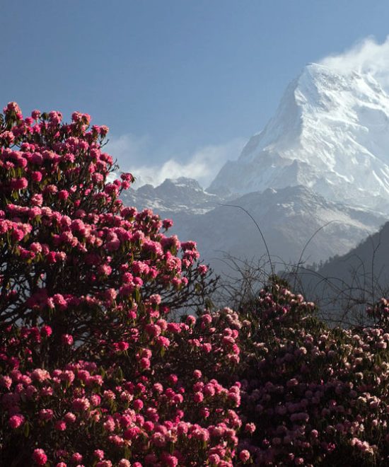 Annapurna Sanctuary Trek