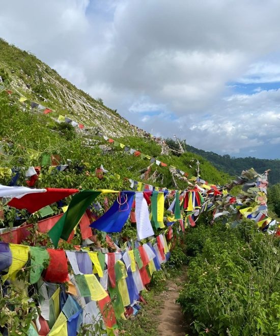 Yogini Power Pilgrimage Tour