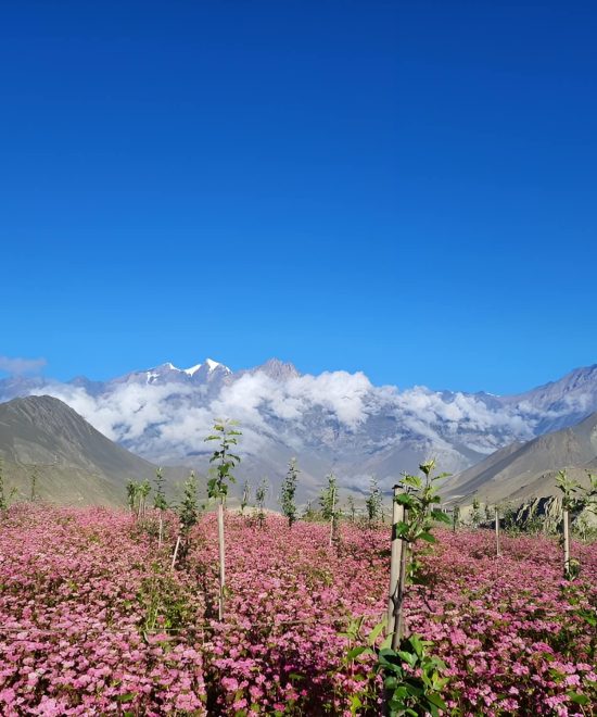Upper & Lower Mustang Trek
