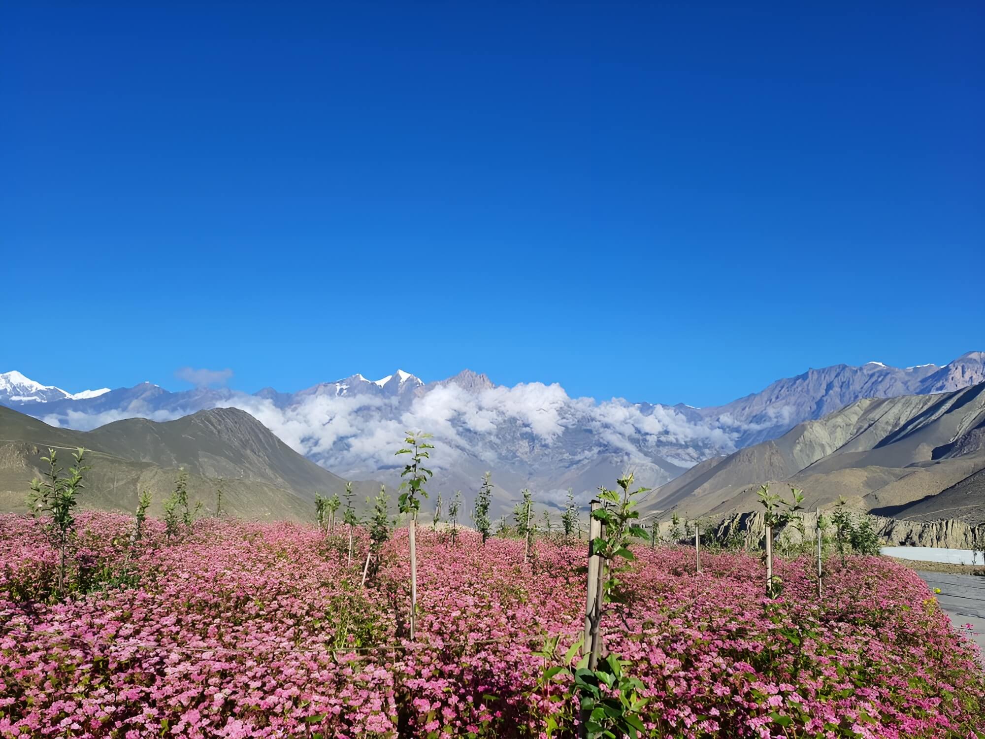 Upper & Lower Mustang Trek